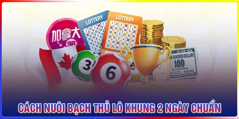 Cách nuôi bạch thủ lô khung 2 ngày chuẩn xác nhất